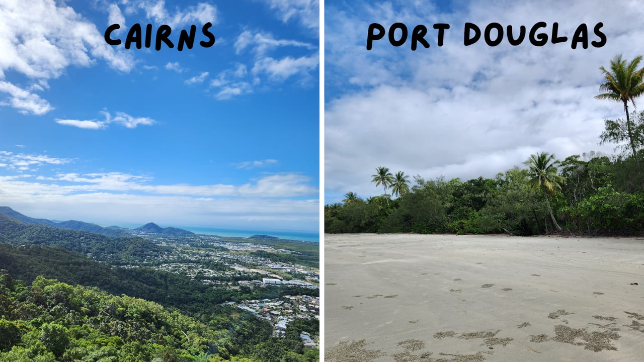 Cairns vs. Port Douglas Reef, Rainforest, and Relaxation Choosing Your Tropical Base Small